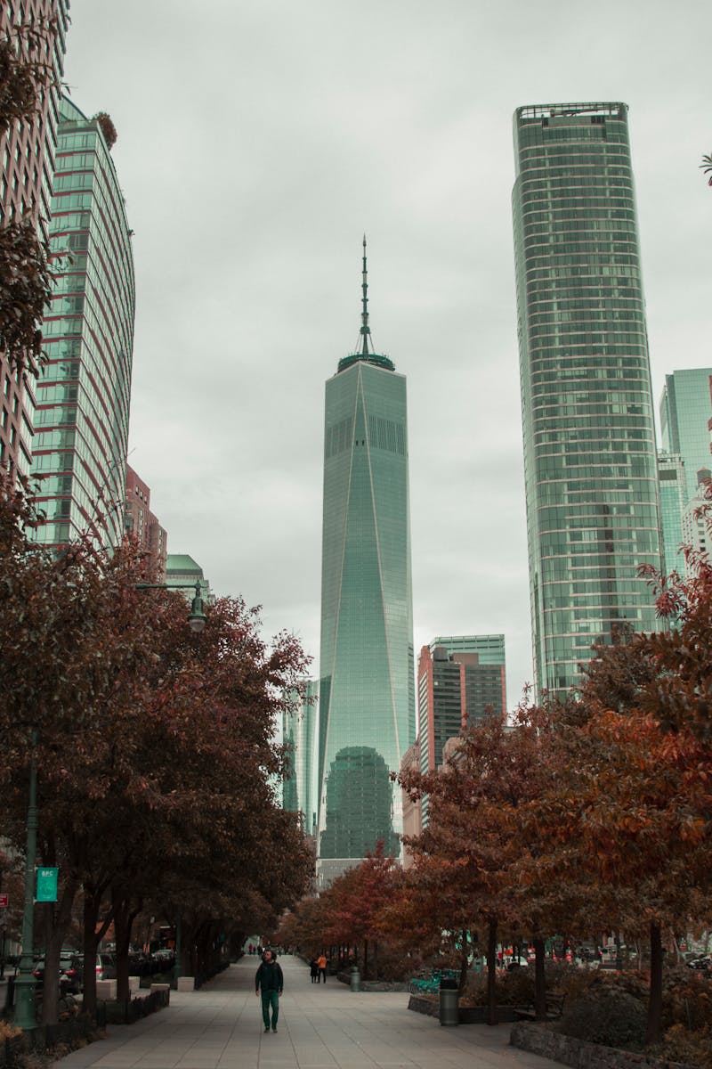 One World Trade Center in New York City surrounded by urban architecture in autumn.